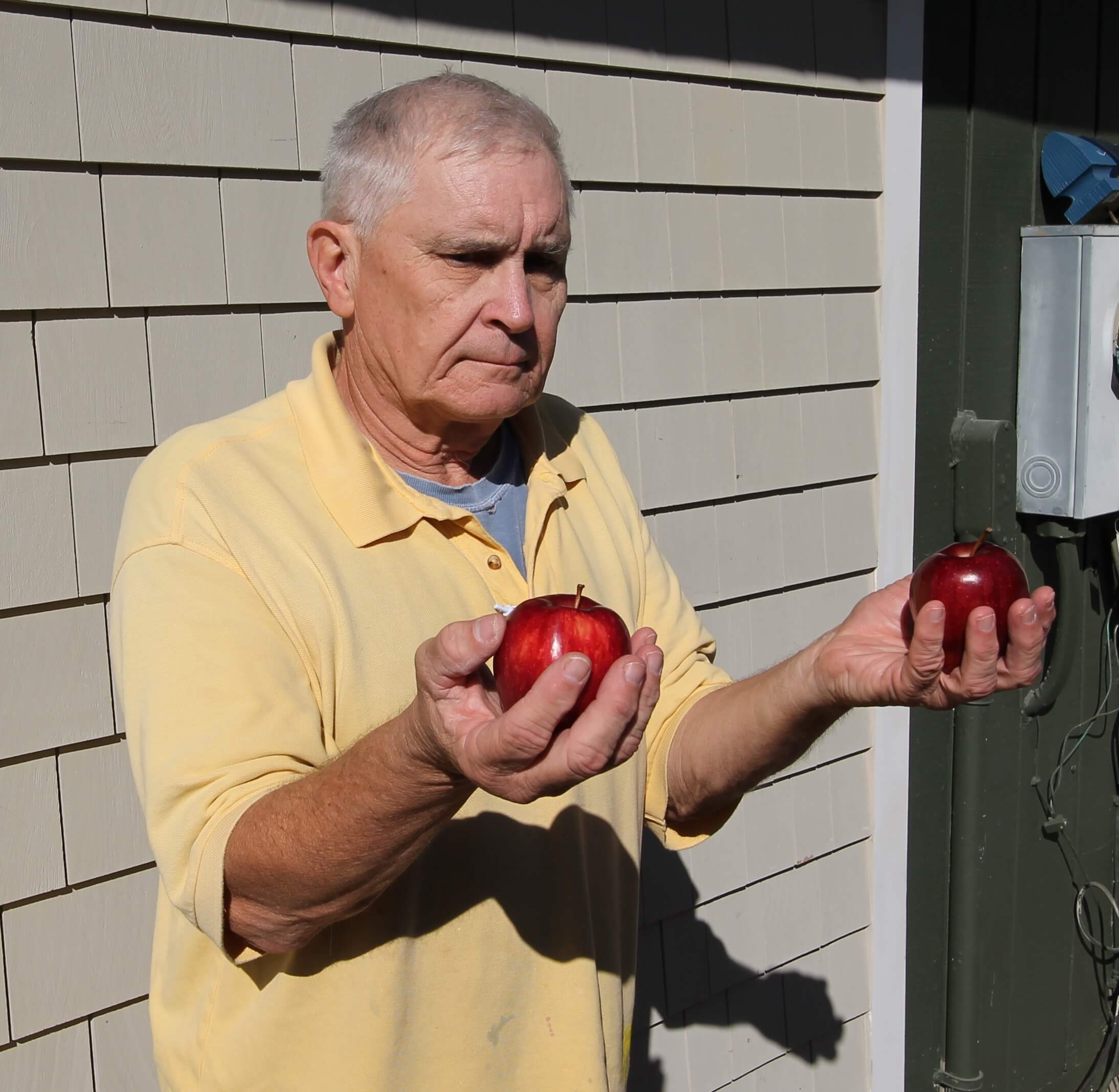 Man holding 2 Apples