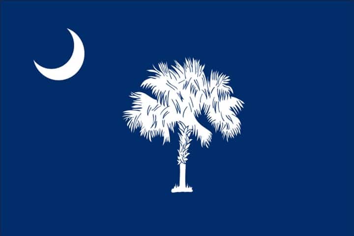 Franchise Opportunity in SC starts with showing the South Carolina Flag.